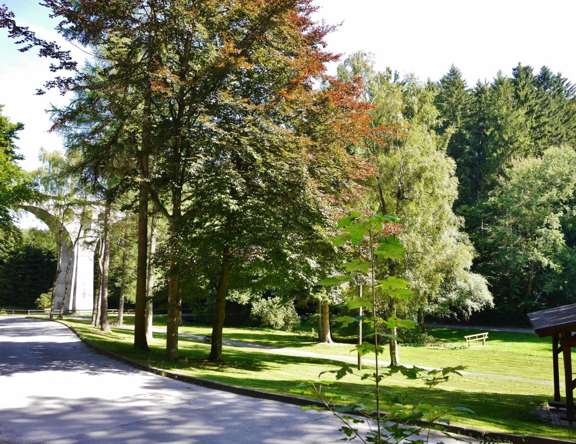 Appartement Happynest*** Mit Hallenbad Willingen  Esterno foto